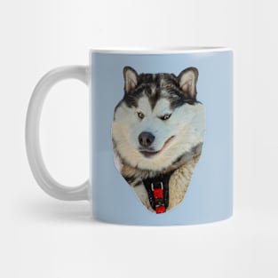 Malamute in the snow Mug